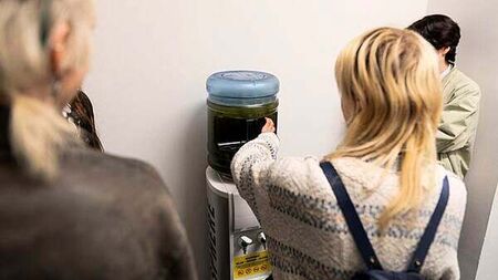 Blue-green algae from Lough Neagh displayed during Belfast Photo Festival