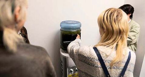 Blue-green algae from Lough Neagh displayed during Belfast Photo Festival