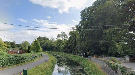 Naas is cleanest town in Ireland