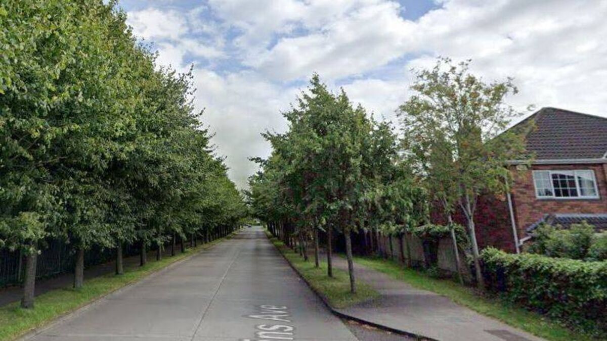 Speed concerns on Naas road matter for gardaí, say council