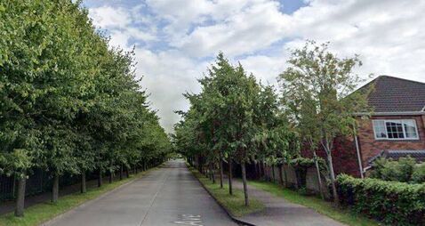 Speed concerns on Naas road matter for gardaí, say council