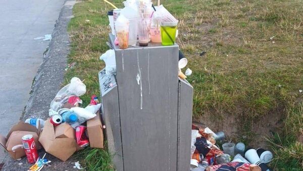 Plan to reduce bin hole size to tackle illegal dumping in Kildare