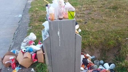 Plan to reduce bin hole size to tackle illegal dumping in Kildare