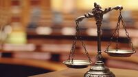 Farmer pleads guilty to animal cruelty near Kildare/Wicklow border
