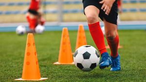 Minister answers query on Kildare sports capital grant