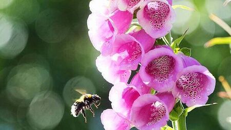 Funding awarded for project to improve air quality across island of Ireland