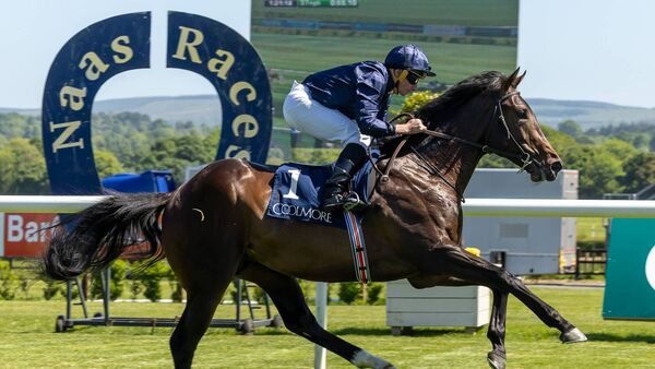 Naas Racecourse: preview and tips for Wednesday’s seven-race card
