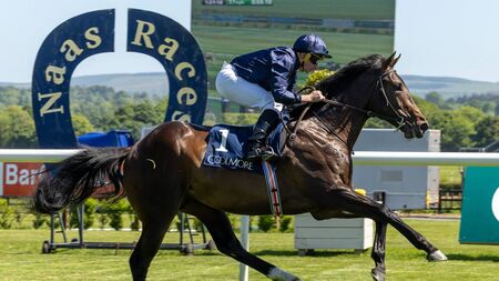 Naas Racecourse: preview and tips for Wednesday’s seven-race card