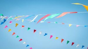 Free festival in Naas this Sunday