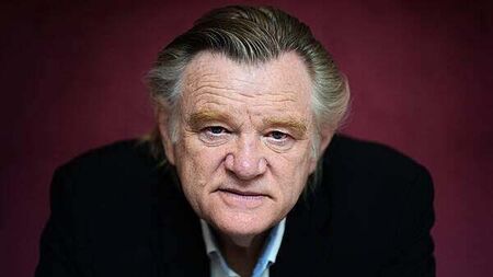 Brendan Gleeson does not regret Micheál Martin ‘moron’ outburst