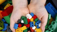 Kildare Rescue Tails: Lego fundraiser this Saturday 