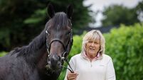 Green Impact would be an immensely popular winner for Harrington