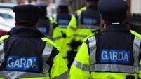 Gardaí stop car driving dangerously with six passengers
