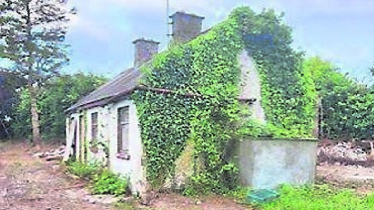 Vacant cottage near Kildare/Laois border on market for €150,000