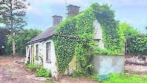 Vacant cottage near Kildare/Laois border on market for €150,000