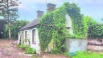 Vacant cottage near Kildare/Laois border on market for €150,000