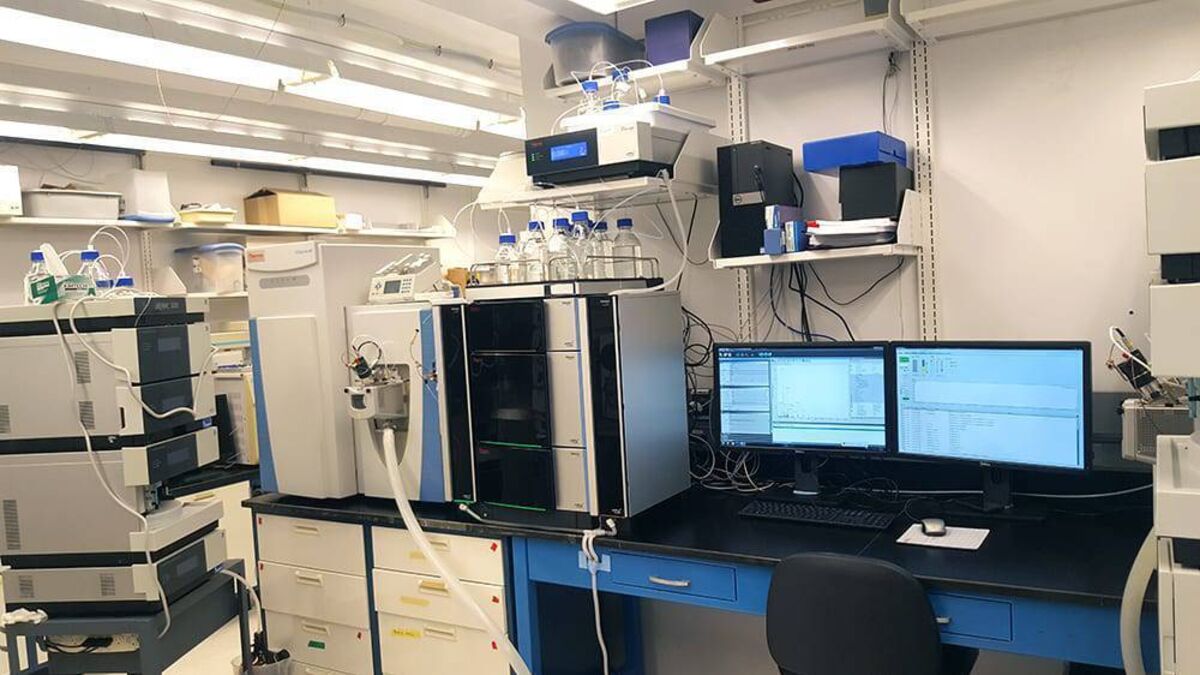 Maynooth University make tropical disease breakthrough