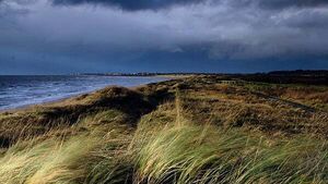 Remains discovered on Scottish beach ‘linked to body found in Co Down’ Remains discovered on Scottish beach ‘linked to body found in Co Down’