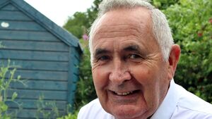 Kildare charity steps in after Musk's wood-chipper Kildare charity steps in after Musk's wood-chipper