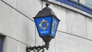 Gardaí seeking more information on fatal Robertstown hit-and-run