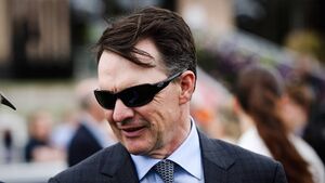 O’Brien hoping Daytona can score in Irish EBF Pat Smullen Stakes