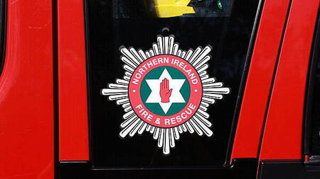 Fire service rescues ‘casualty’ during Belfast forest operation