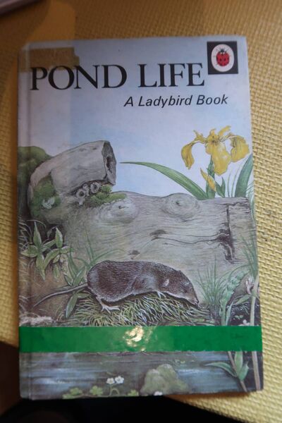 Pond Life brought back memories for this writer