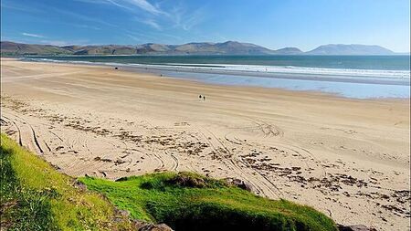 Warnings issued over painful weever fish as weather improves