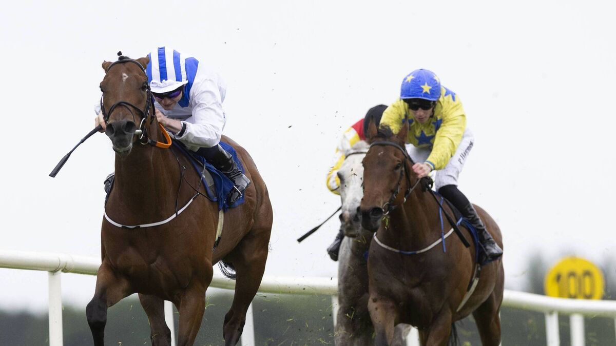 Fahey's I Bid You Ajou looking to continue winning run