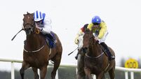 Fahey's I Bid You Ajou looking to continue winning run