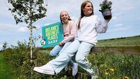 Ireland's Greenest Places 2025: Nominations to close on July 19th