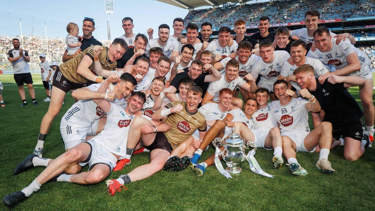 Kildare see off brave Limerick challenge to lift Tailteann Cup 