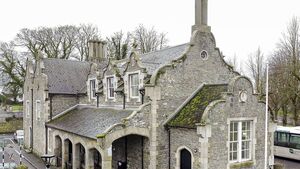 Athy Court: Man who masturbated over Zoom call is sentenced to six months in prison