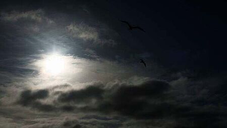 Thunderstorm warning issued for 14 counties