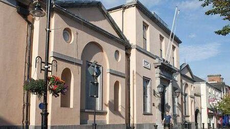 Portlaoise Court: Screaming Laois TikToker called gardaí ‘bastards’