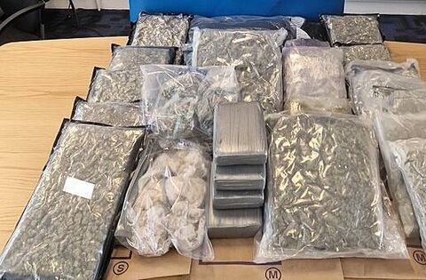 Man and woman (20s) arrested after €715k of drugs seized in Co Dublin ...