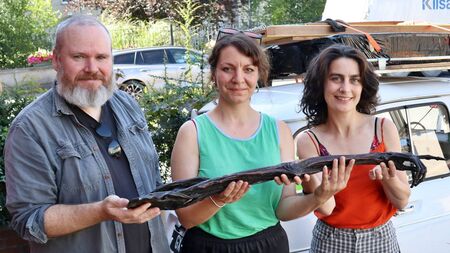 Dan Donnely’s Arm and Renault 4L - A Tour de Force