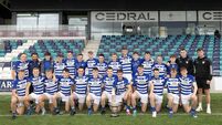 Awesome Naas recover from slow start to lift fourth successive Division 1 title