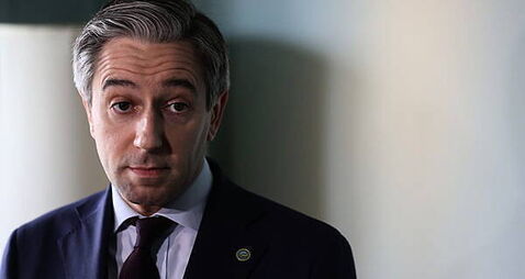 Politics watch: Simon Harris urged to 'think more strategically'