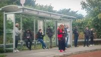 Call for additional bus stops on Athy–Newbridge route 