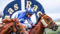 Naas Racecourse: Preview and Tips from Wednesday’s Seven-Race Card 