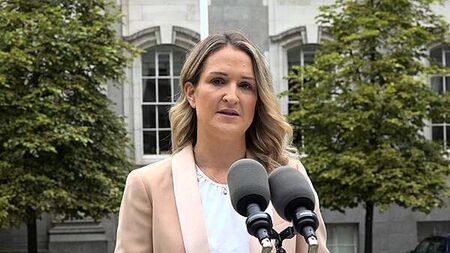 Companies have right to strike balance on remote working, McEntee says