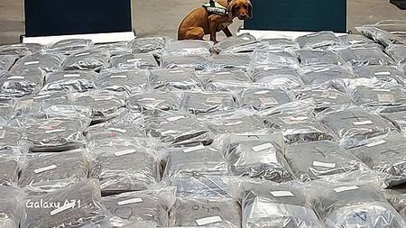 Man arrested after cannabis worth €2.1 million seized in Cork