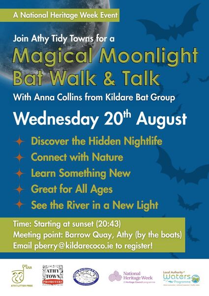 Athy bat walk led by Kildare Bat Group