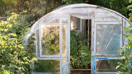 Living Greener: Greenhouses are a worthwhile investment
