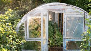 Living Greener: Greenhouses are a worthwhile investment Living Greener: Greenhouses are a worthwhile investment