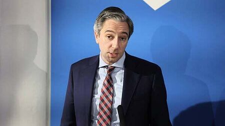 Tánaiste to hold talks with Northern leaders over US trade deals