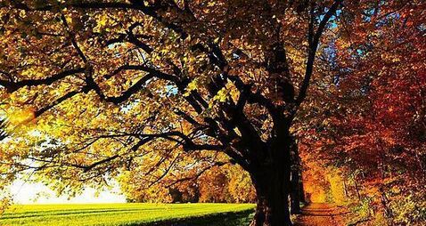 Poll: Is August the start of autumn or the last month of summer?