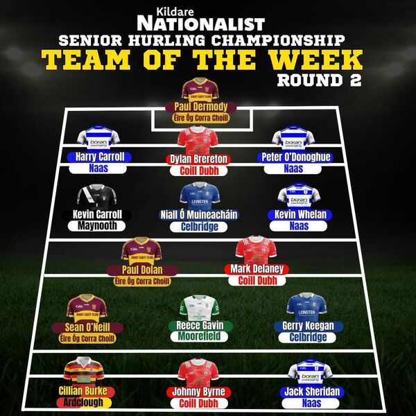 Senior Hurling Championship TOTW Round 2