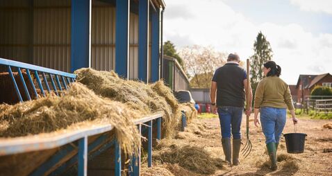 Teagasc apprenticeships on offer
